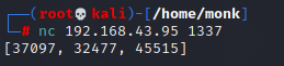 netcat-1337